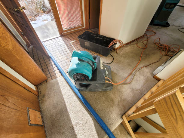 Professional Water damage restoration in Wayland, MI