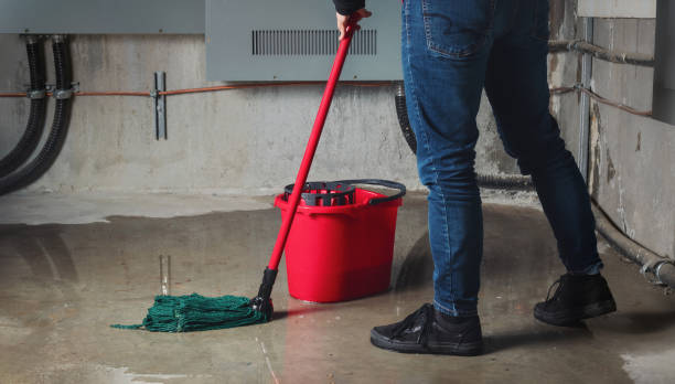 Best 24-hour water damage restoration  in Wayland, MI