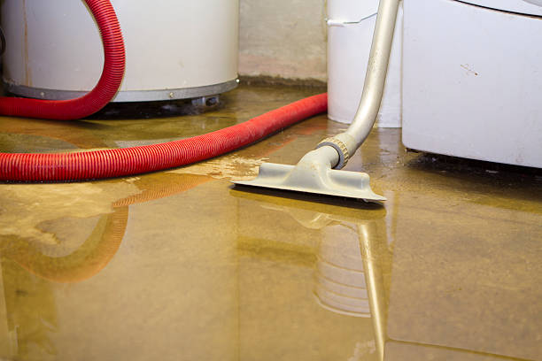 Best Basement water damage restoration  in Wayland, MI