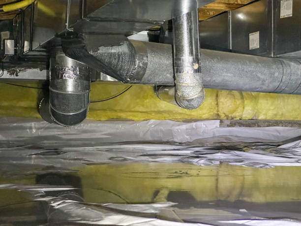 Best Emergency water damage restoration  in Wayland, MI