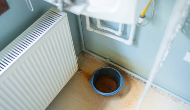 Best Residential water damage restoration  in Wayland, MI