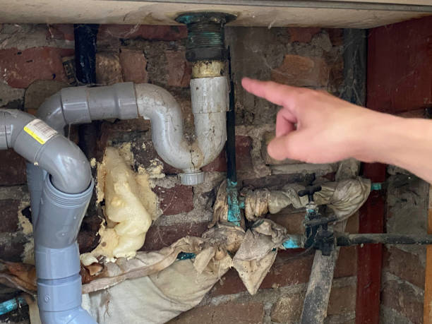 Best Carpet water damage restoration  in Wayland, MI
