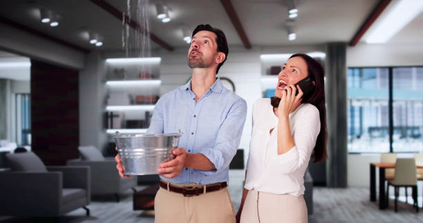 Best Flood restoration services  in Wayland, MI