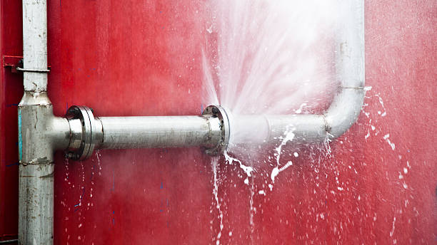 Best Flood damage cleanup  in Wayland, MI