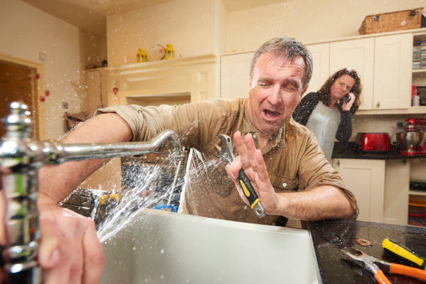 Best Flooded house restoration  in Wayland, MI